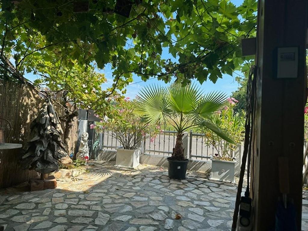 Ferienwohnung Insel Île de Reichenau Extérieur photo
